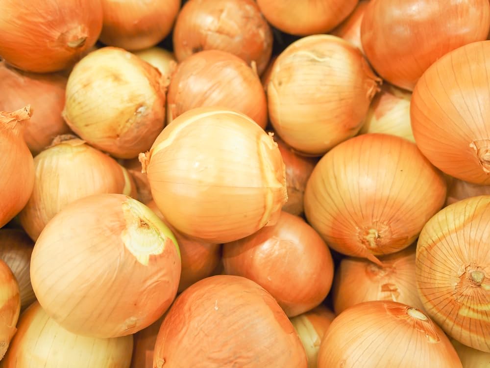 Sweet Yellow Onion Sets for Planting - Easy to Grow Vegetables