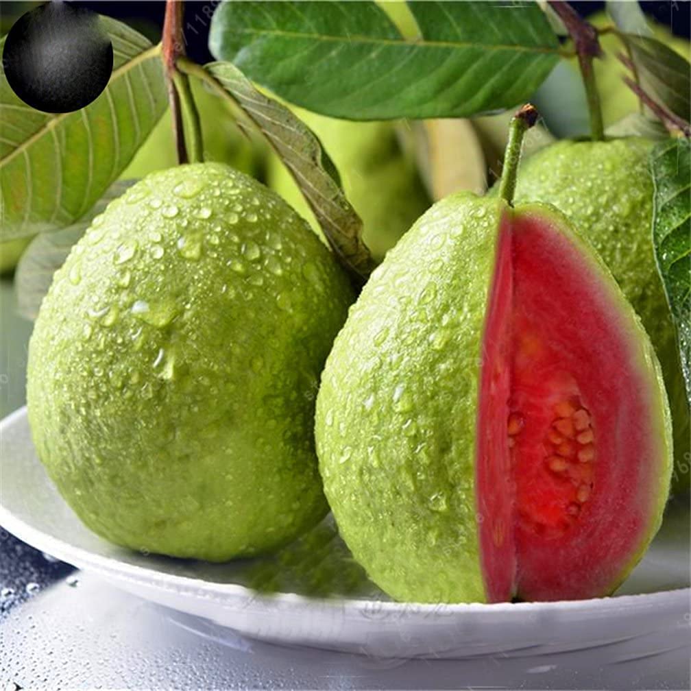 Fruit Seeds for Planting