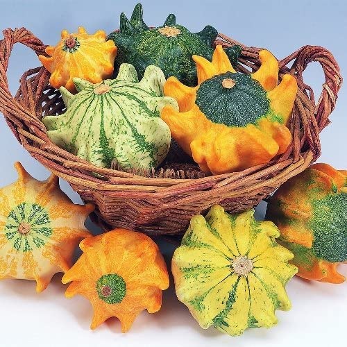Crown of Thorns Gourd Seeds for Planting (10 Seeds) - Exotic Squash with Fingers That Looks Like a Crown