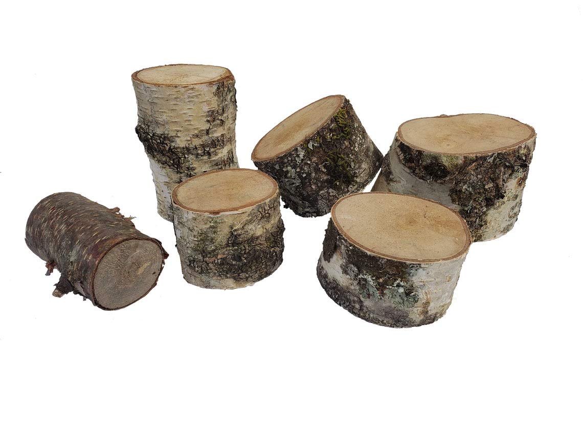6 Birch Stump - Approx 4 inches Tall. Great for Display, Crafts, Wedding Table Centerpiece, Craft Making