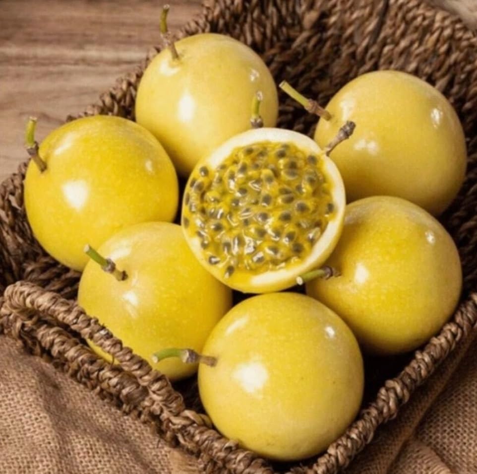 30 Passionflower Fruit Tree Seeds for Planting