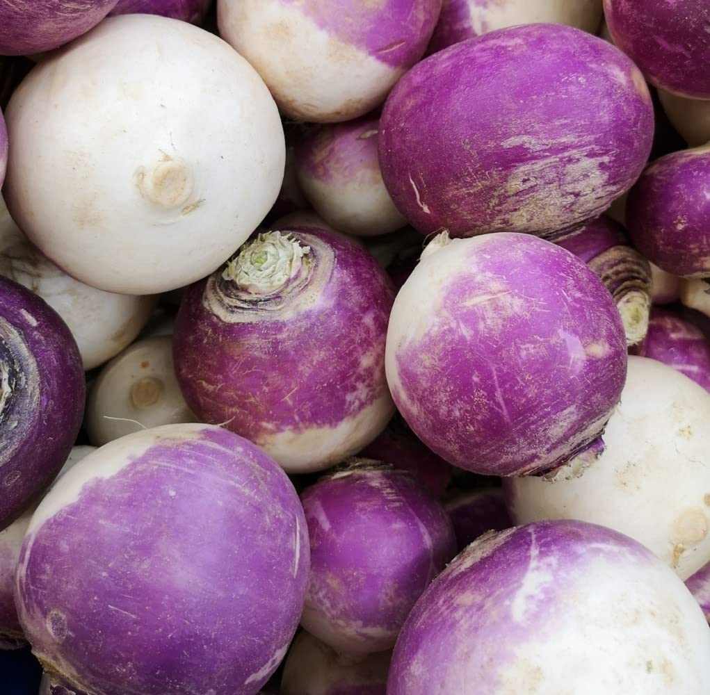 Turnip Seeds for Planting | Purple Top Turnip Seeds | Non-GMO & Heirloom | Planting Packet Includes Planting Instructions