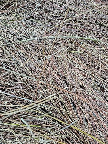 100% Natural Willow Tree Straw | Mulch, Animal Bedding