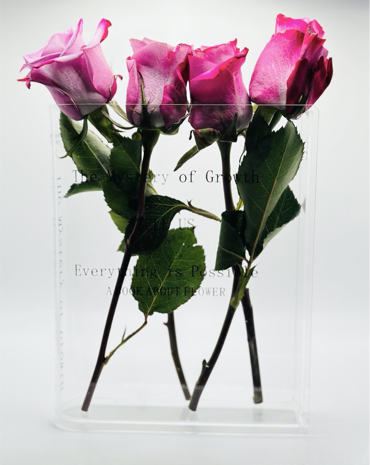 Bookend Clear Flower Vase, Cute Shelf Decor for Cut Flowers - Vases for Home Office Decor, A Book About Flowers