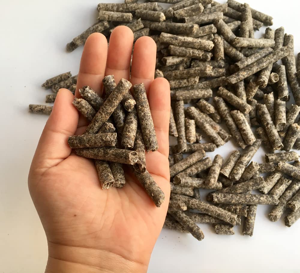Smart Beet Pellets for Feeding - Horse, Pony, Goat, Cattle Feed - Good for Brain Health and Natural Sweetener