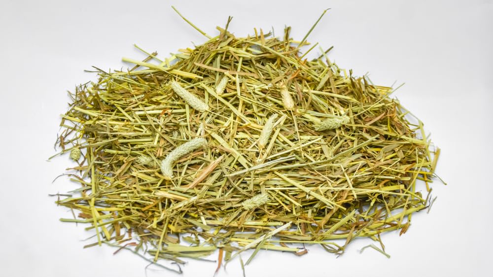 CZ Grain All Natural Timothy Hay for Pet Guinea Pigs, Rabbits & Other Small Animals (8 Pounds)