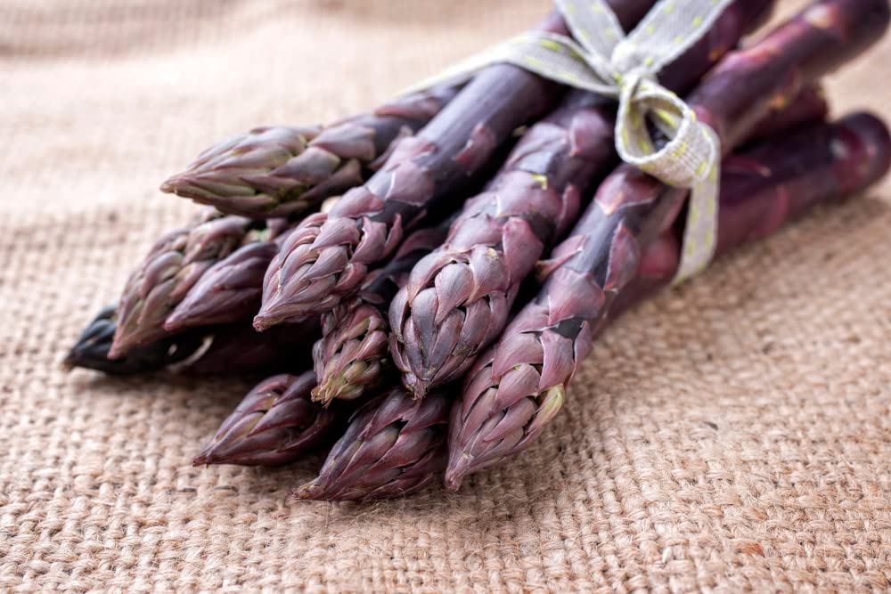 Purple Passion Live Asparagus Bare Root Plants - 2yr Crowns - Can Not Ship to California