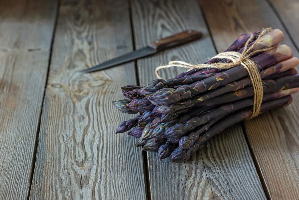 Purple Passion Live Asparagus Bare Root Plants - 2yr Crowns - Can Not Ship to California