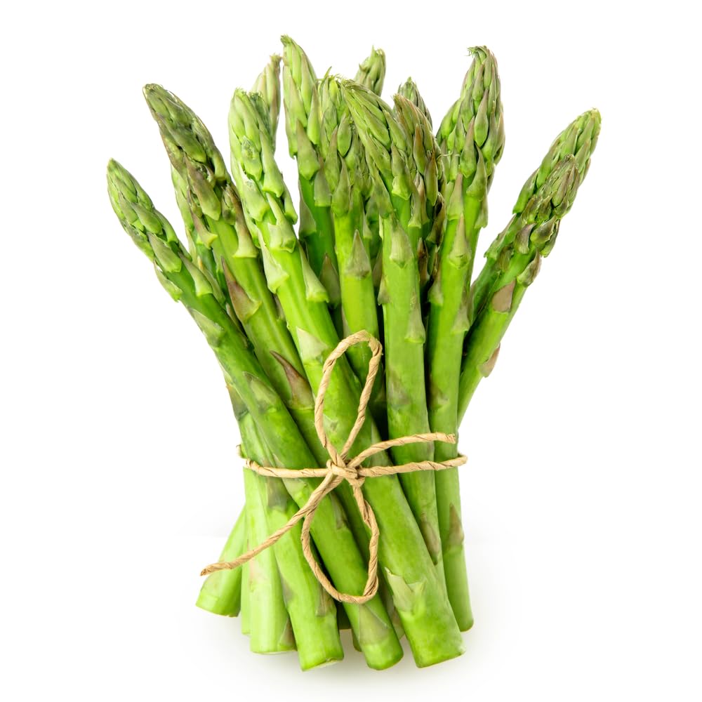 5 Fresh Asparagus Bare Root Plants to Grow - 2yr Crowns - (5 Asparagus Roots)