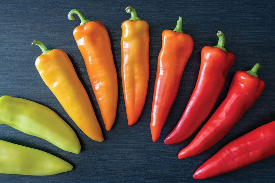 Hungarian Hot Wax Pepper Seeds for Planting (30 Seeds) - Grow Your Own Delicious Peppers