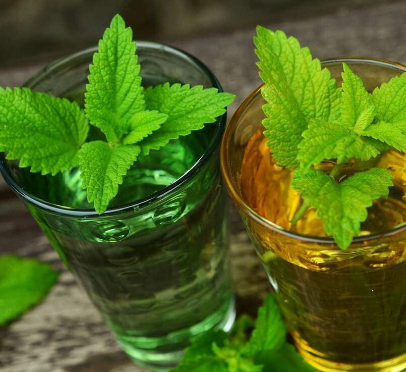 Lemon Balm Seeds for Planting (500 Seeds) - Melissa officinalis