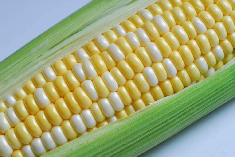 Peaches and Cream Sweet Corn Seeds - 30 Seeds