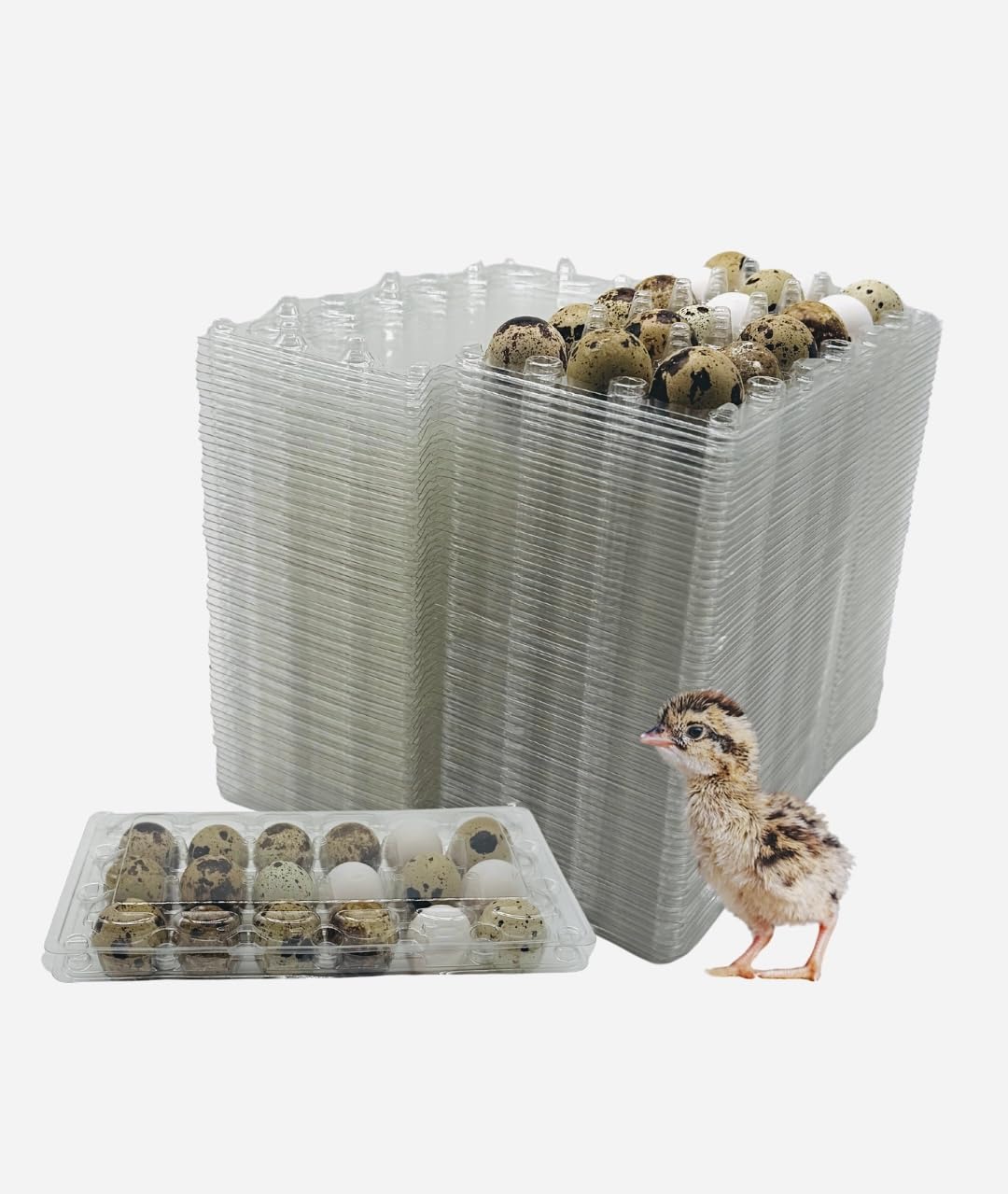 100 Pcs Quail Egg Cartons - 18 Cell Small Quail Eggs Basket, Pigeon Eggs, Bulk Carton Quail Egg Tray Container for Refrigerator