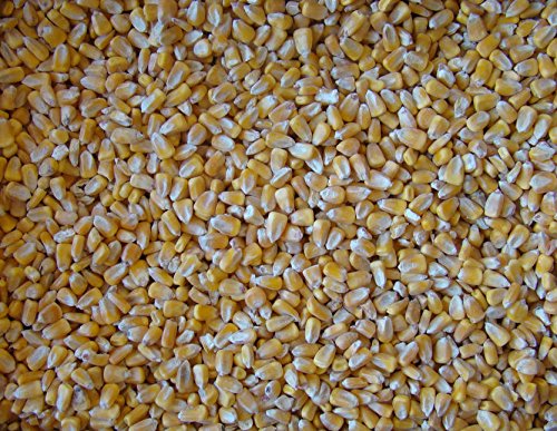 Whole Kernel Corn- by NOTEBOOM FARMS