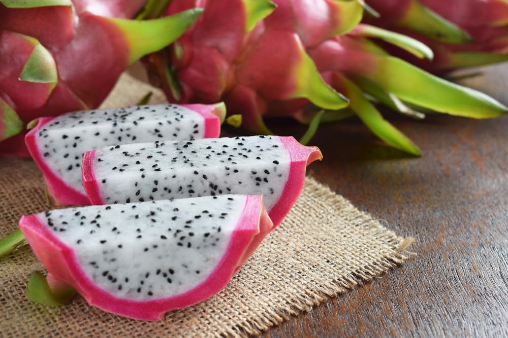 200 Dragon Fruit Seeds, Hylocereus Triangularis - Luscious Fruit and Fragrant Night-Blooming Blooms