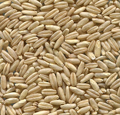 2 lb Whole Oat Seeds, Wildlife, Deer, Food Plot