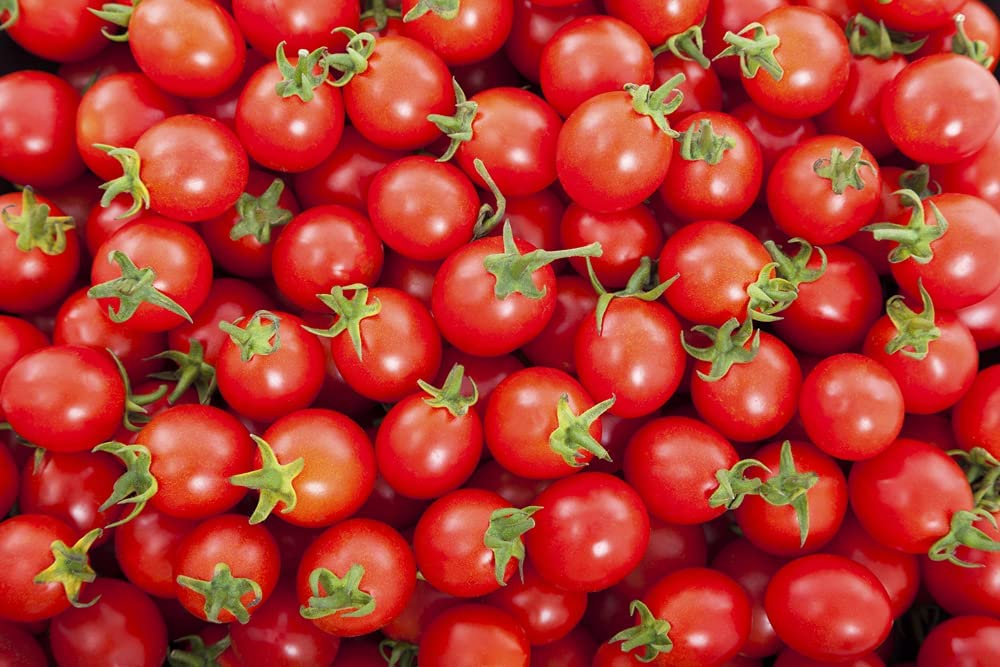 Garden Cherry Tomato Seeds for Planting - 300+ Seeds - Amazing Taste - Delicious Baby Tomatos