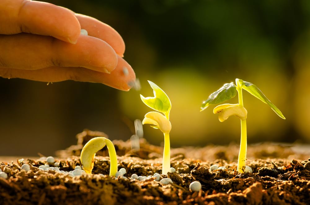 Nitrogen Fertilizer - Plant Nutrient for Deficiency Treatment and Enhanced Growth in Vegetative Stage - Indoor, Outdoor, Hydroponic Use