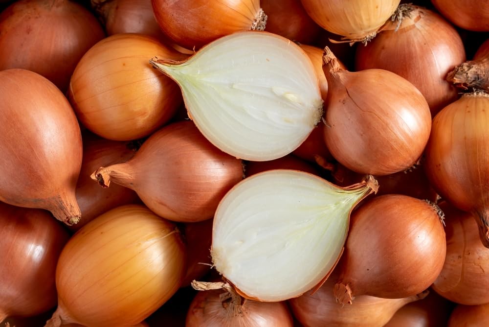 Sweet Yellow Onion Sets for Planting - Easy to Grow Vegetables