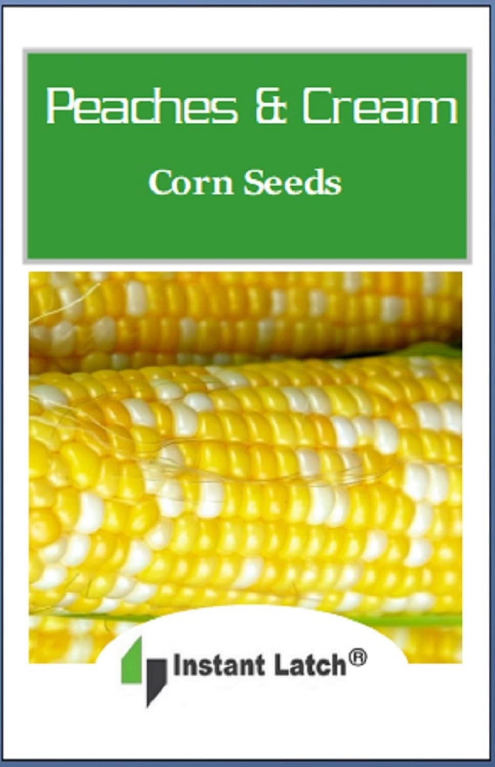 25 Peaches & Cream Corn Seeds | Hybrid | Instant Latch Garden Seeds