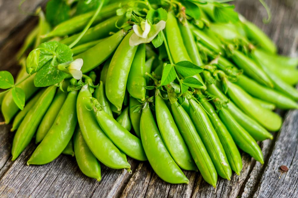 Sugar Daddy Snow Pea Seeds | 100 Seeds to Grow | Vegetable Seeds for Planting, Grow Your Own Food, Delicious