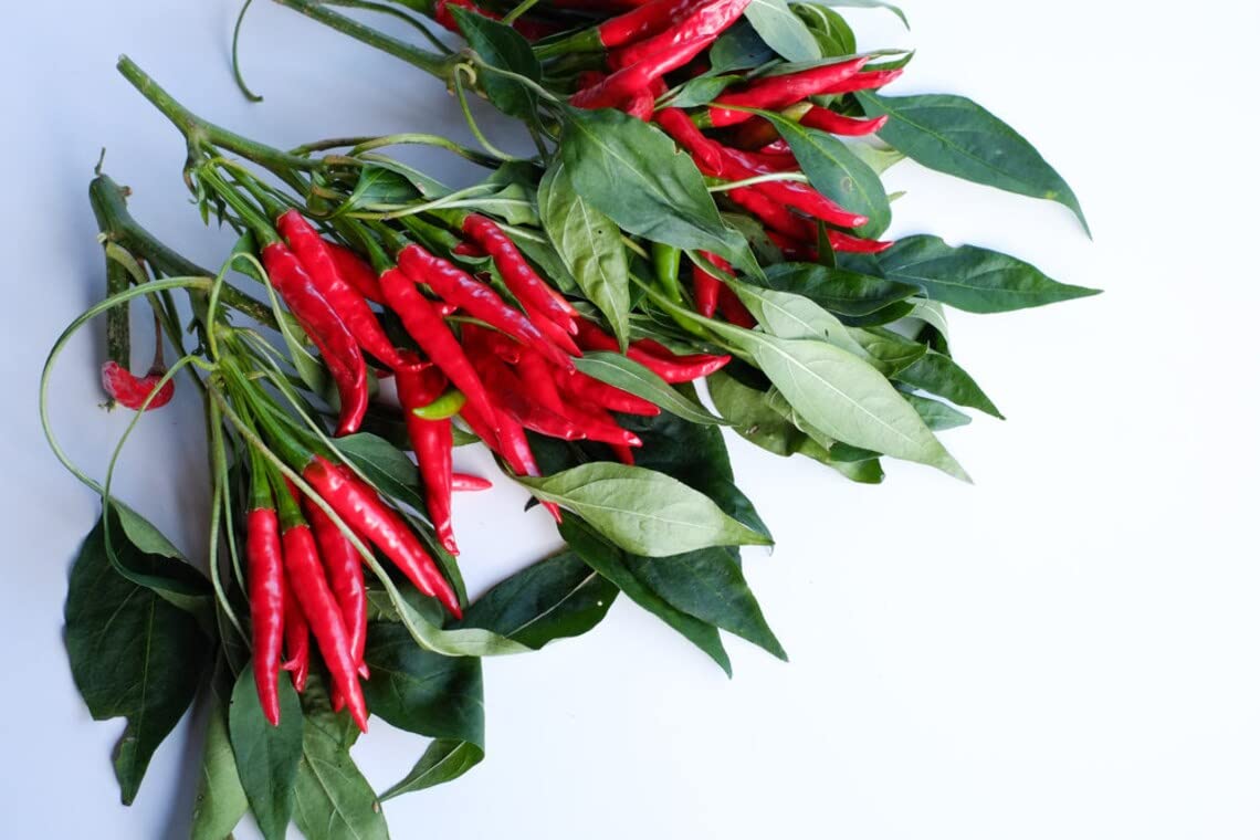 Red Cayenne Pepper Seeds - 100 Seeds - Grow Red Chili Peppers - Great for Eating or Chili Powder