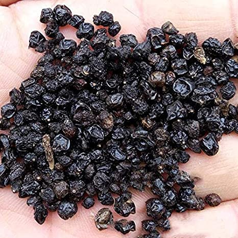 Lantana Flower Seeds for Planting - 200+ Mixed Color Flower Seeds to Plant - Made in USA, Ships from Iowa. Very Good Butterfly Plant