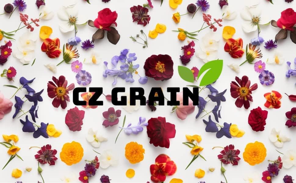 100 Black Chickpea Seeds for Planting - Grow Garbanzo Beans