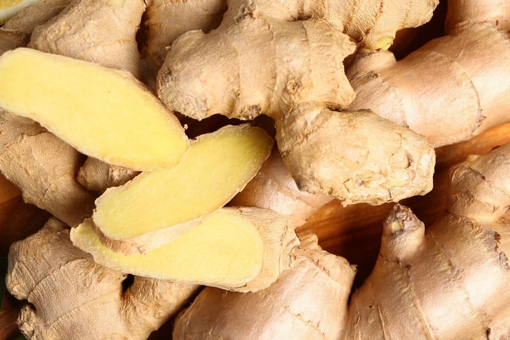 5 Pounds Fresh Ginger Root, For Growing or Kitchen Use