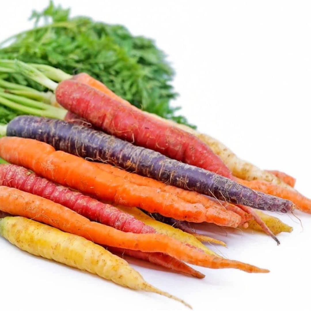 Rainbow Carrot Seeds for Planting | Non-GMO & Heirloom Vegetable Seeds | 750 Carrot Seeds to Plant Outdoor Home Garden | Buy Planting Packets in Bulk