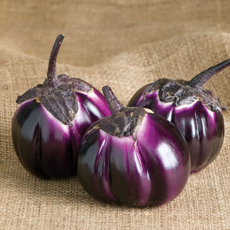 Barbarella Eggplant Seeds for Planting (30 Seeds) | Non-GMO Exotic Heirloom Vegetables | Great Gardening Gift