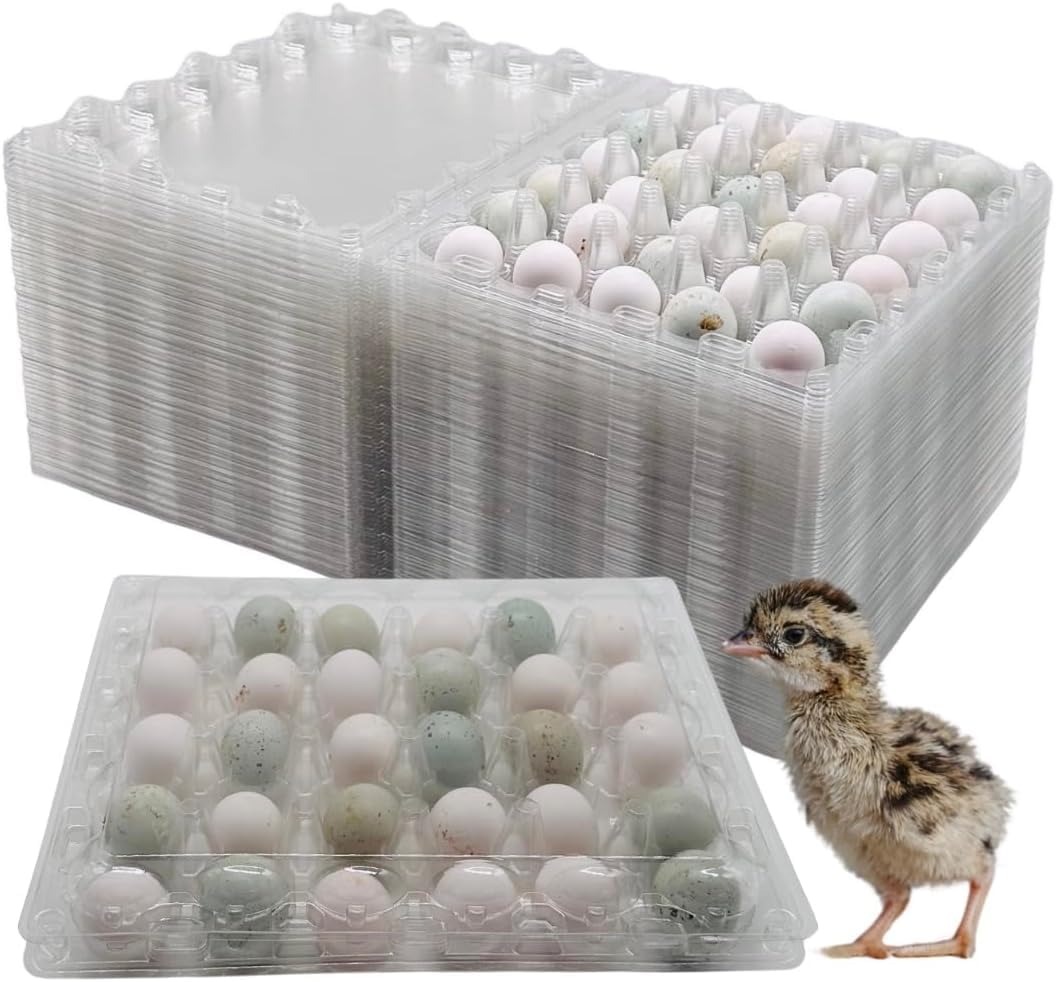 20 Cell Quail Eggs Cartons, Pigeon Eggs, Bulk Carton Quail Egg Tray Container for Refrigerator