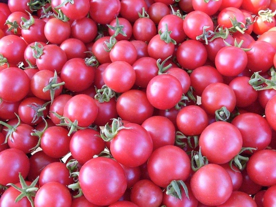 Pink Cherry Tomato Seeds - Low Acid but Very high Sugar Flavor (50 - Seeds)