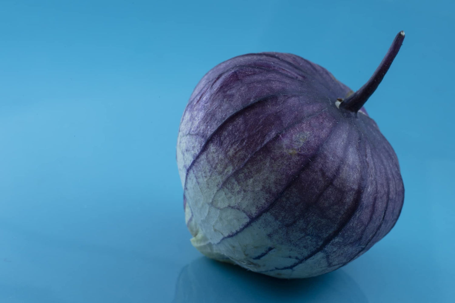 Purple Chinese Lantern Seeds for Planting - 50 Seeds - Exotic Garden Seeds