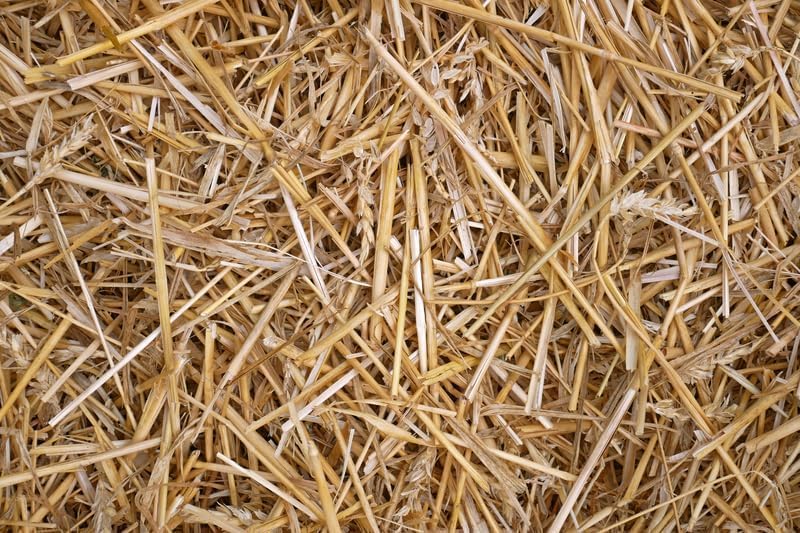 100% Natural Wheat Straw for Animal Bedding, Garden Mulch, Compost & Fertilizer, and Grass Cover