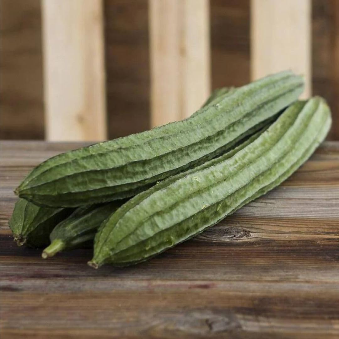 Angled Luffa Sé?ds/Angled Gourd/Tori/Turai/Ridge Gourd/Chinese Okra Sé?ds Loofah - 5 Sé?ds