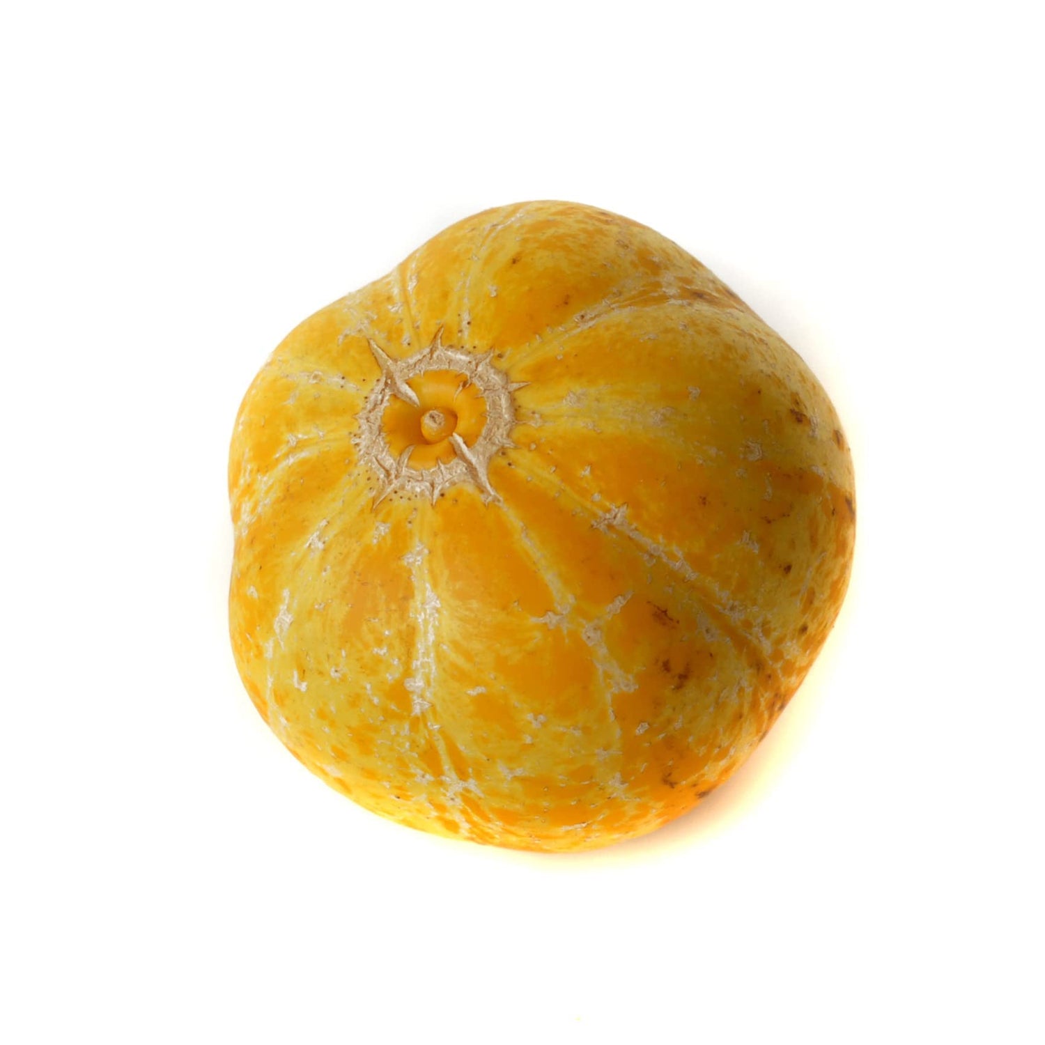 Lemon Cucumber Seeds - 100+ Seeds to Grow - Exotic Heirloom Vegetable Seeds for Planting - Non-GMO - Apple Cucumber