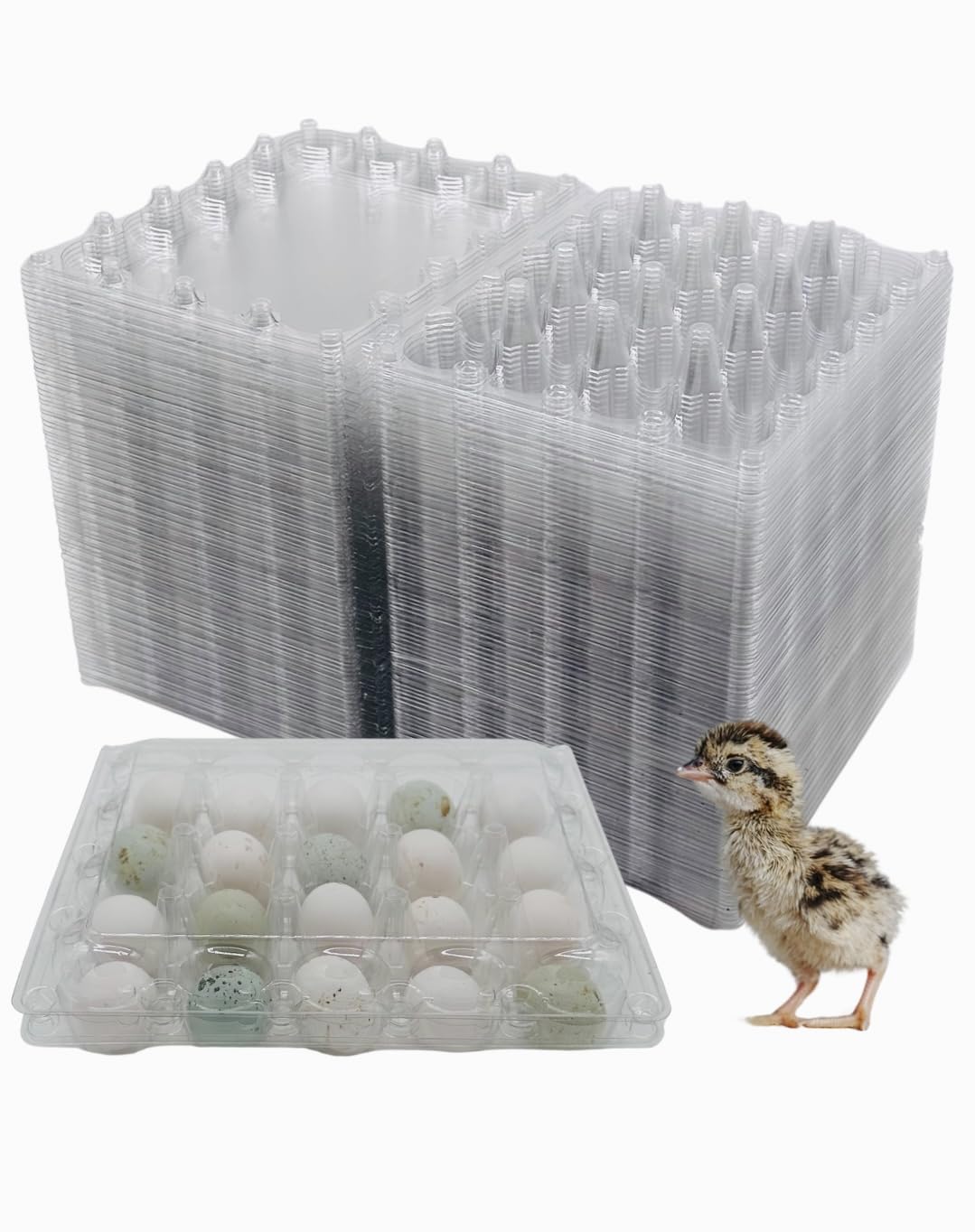 100 Pcs Quail Egg Cartons - 20 Cell Small Quail Eggs Basket, Pigeon Eggs, Bulk Carton Quail Egg Tray Container for Refrigerator