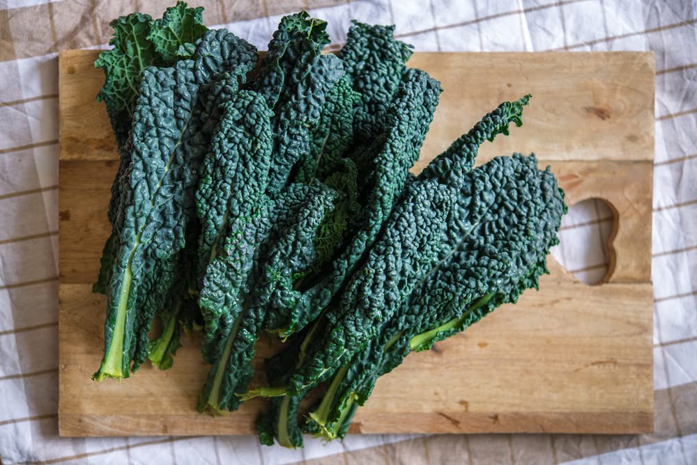 Black Magic Kale Seeds for Planting (200 Seeds) - Grow Your Own Food