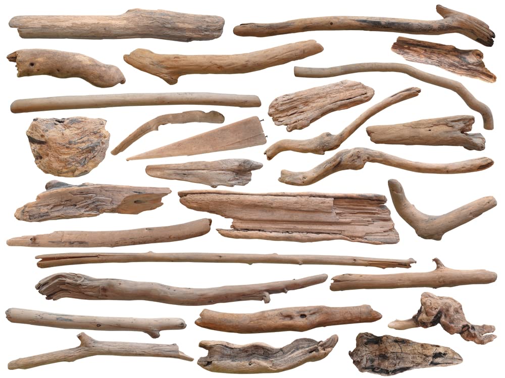 Driftwood Decor Bundle - 10+ Pieces of Freshwater Iowa Driftwood, 1-2 Feet in Length. Worn by Waves and Time