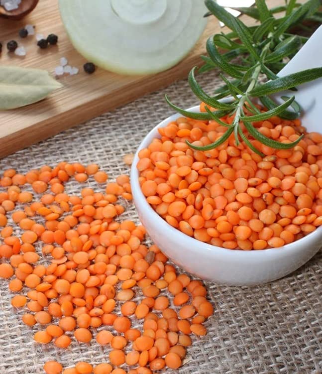 50 Red Lentils Plant Seeds - Grow Your Own Food