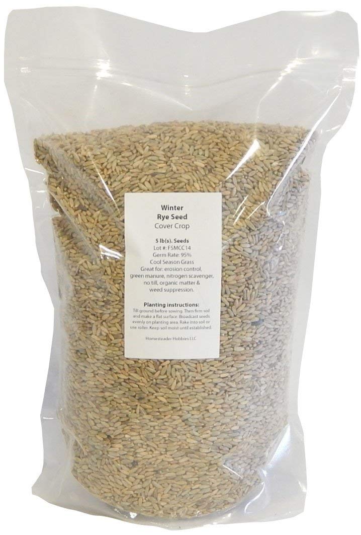 Winter Rye Seed, 5 Pounds
