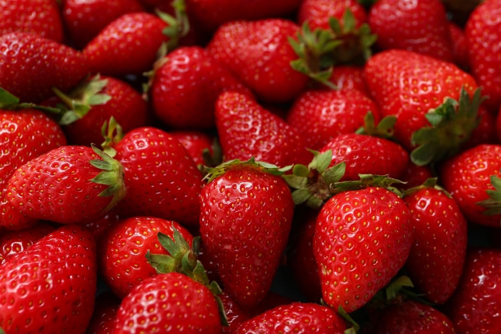 Ozark Beauty Strawberry Plants for Growing - Everbearing, Grow Your Own Food - Delicious Flavor, Great for Eating, Pies, Jams