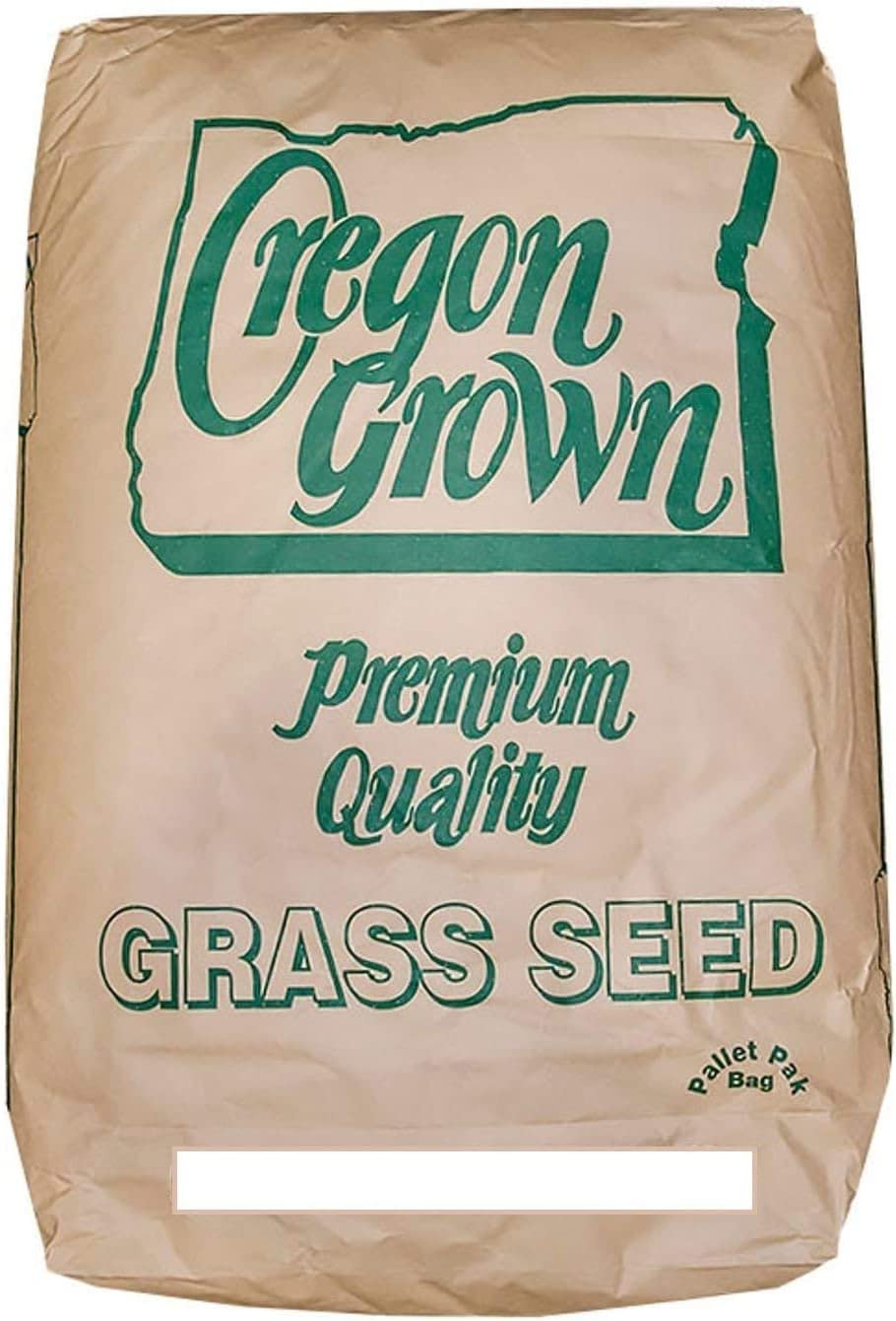 Annual Ryegrass Seeds for Planting - Premium Quality Rye Grass