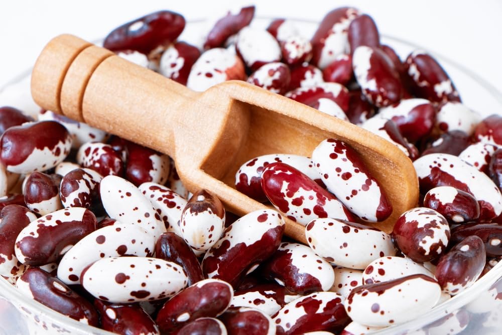 1500 Year Old Cave Bean Seeds for Planting (20 Seeds) - Delicious and Easy to Grow