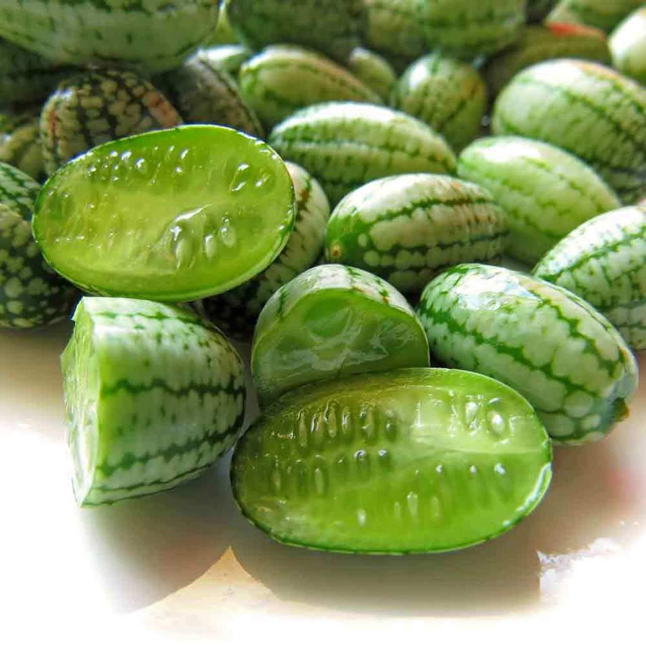 Cucamelon 20 Seeds - Mouse Melon, Melothria Scabra Mini Cucumber, Mexican Sour Gherkin Heat Tolerant Plant, Miniature Watermelon Seeds to Plant, Mexican Sour Cucumber Seeds for Planting