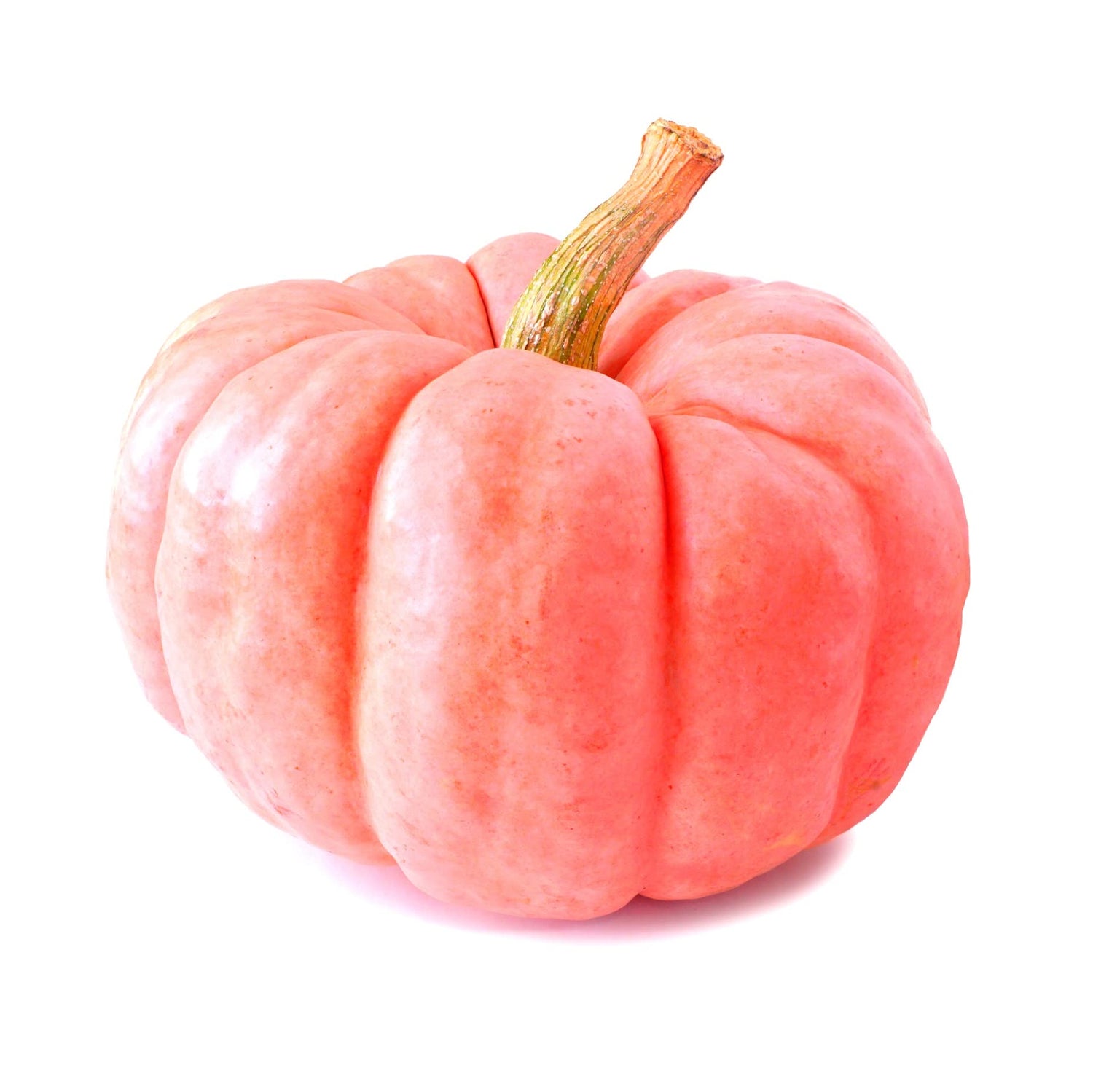 Pink Pumpkin Seeds for Planting - 5 Seeds - Porcelain Doll Pumpkins - Ships from Iowa, USA