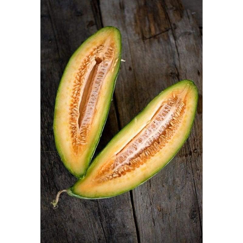 Banana Melon Seeds (20 Seeds) | Non-GMO | Heirloom | Fresh Garden Seeds