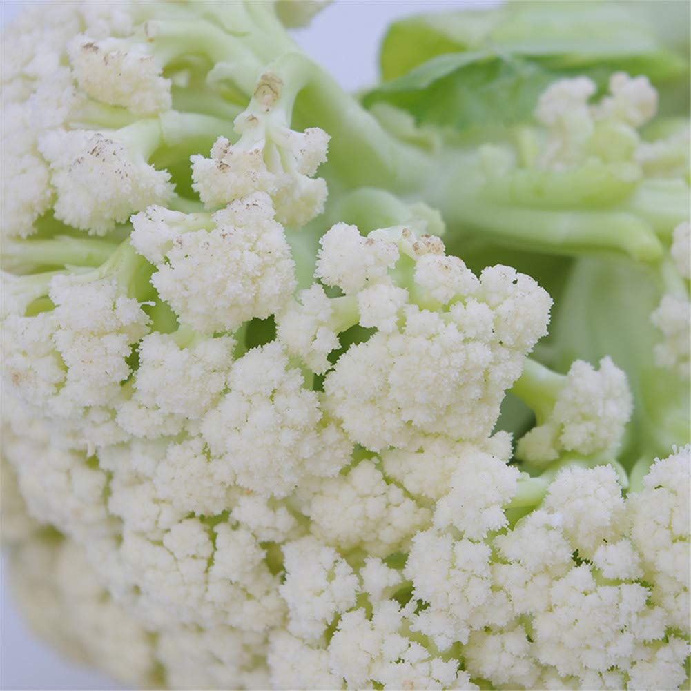 Loose Cauliflower Vegetable 50 Pcs Seeds Non-GMO Heirloom