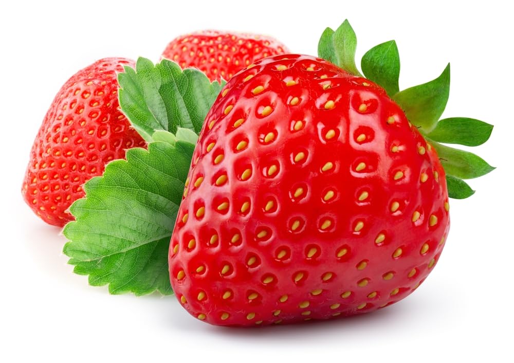 Sparkle Strawberry Plants - Grow Delicious Red Strawberries - Bare Root Plants